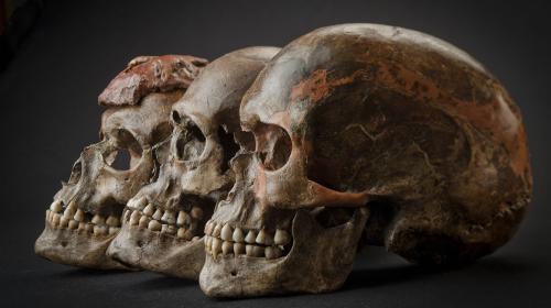 Archeologický ústav AV ČR, Brno