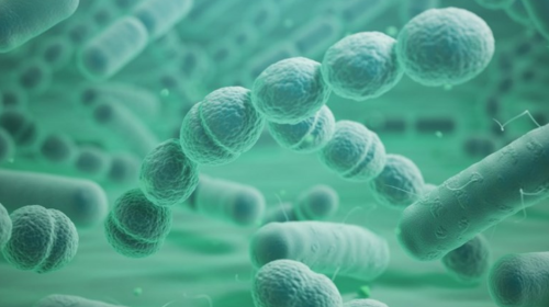 Ústav experimentální biologie Přírodovědecké fakulty MUNI