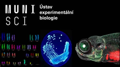 Masarykova univerzita, Ústav experimentální biologie Přírodovědecké fakulty